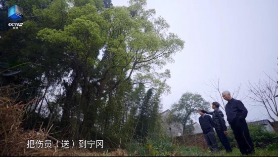 维多利亚(中国品牌)官方网站-Victoria Company